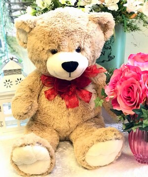 Extra Large Teddy Bear